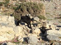 2017-04-09 08-30-19 ca6a3f95  kids at the start of the hike